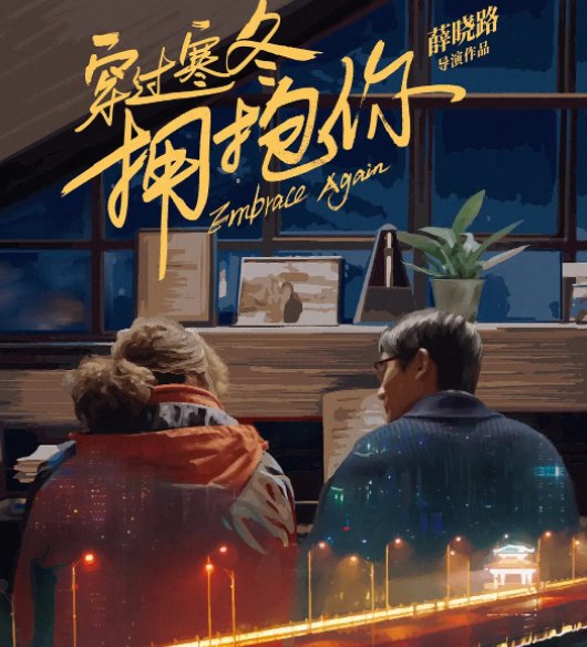 穿过寒冬拥抱你评分