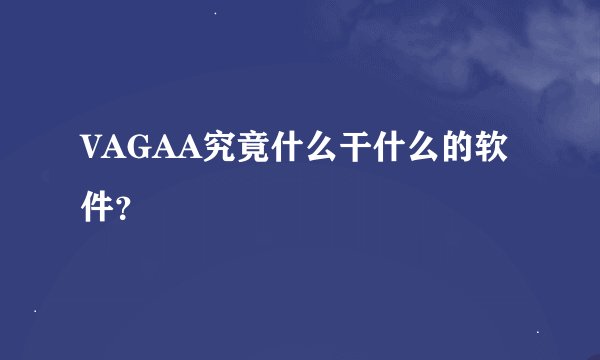 VAGAA究竟什么干什么的软件？