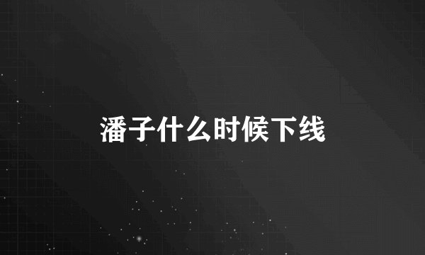 潘子什么时候下线