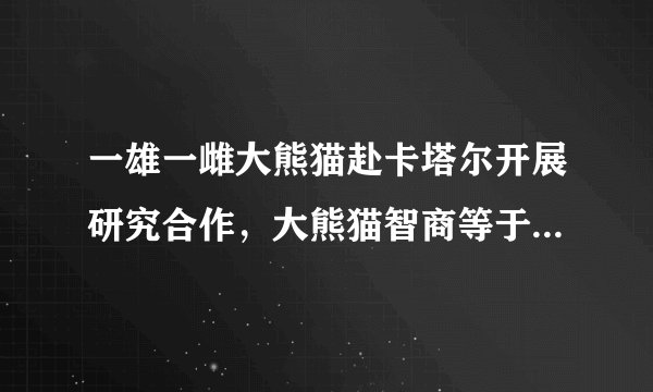 一雄一雌大熊猫赴卡塔尔开展研究合作，大熊猫智商等于人类多少岁的小孩？