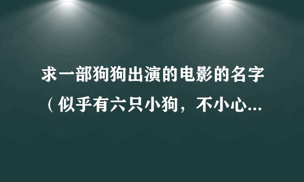 求一部狗狗出演的电影的名字（似乎有六只小狗，不小心去了南极，然后参加比赛，赢了）