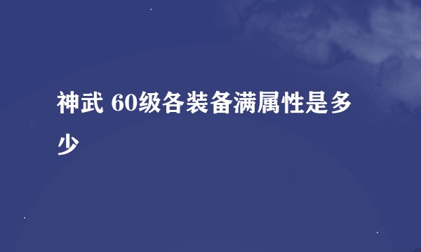 神武 60级各装备满属性是多少