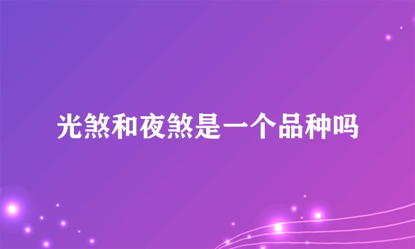 光煞和夜煞是一个品种吗