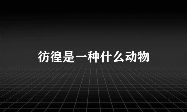 彷徨是一种什么动物