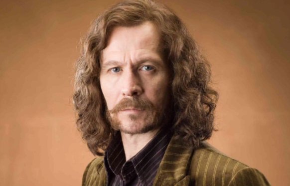 《哈利波特》西里斯布莱克是小天狼星吗？