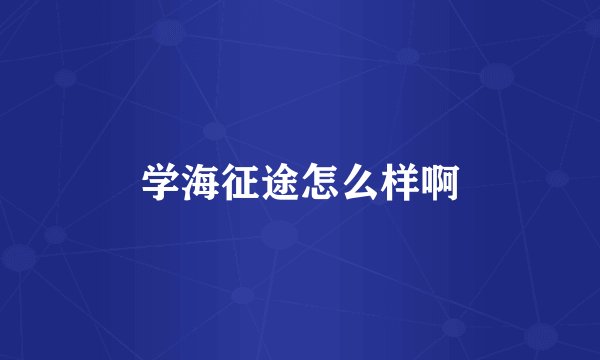 学海征途怎么样啊