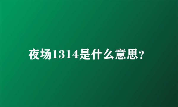 夜场1314是什么意思？