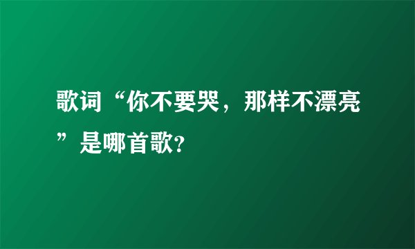 歌词“你不要哭，那样不漂亮”是哪首歌？