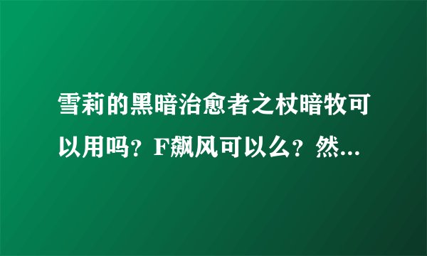 雪莉的黑暗治愈者之杖暗牧可以用吗？F飙风可以么？然后重铸了急速？ 是否合理呢
