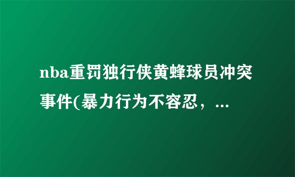 nba重罚独行侠黄蜂球员冲突事件(暴力行为不容忍，联盟加强管理力度)