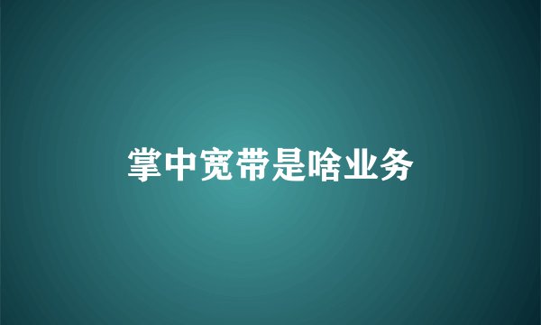 掌中宽带是啥业务