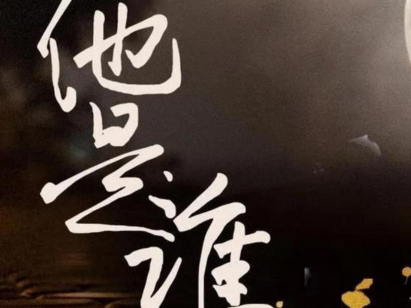 他是谁 剧情介绍分集