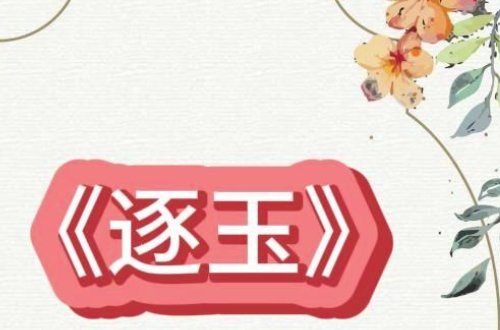 晋江文学城千字排行榜