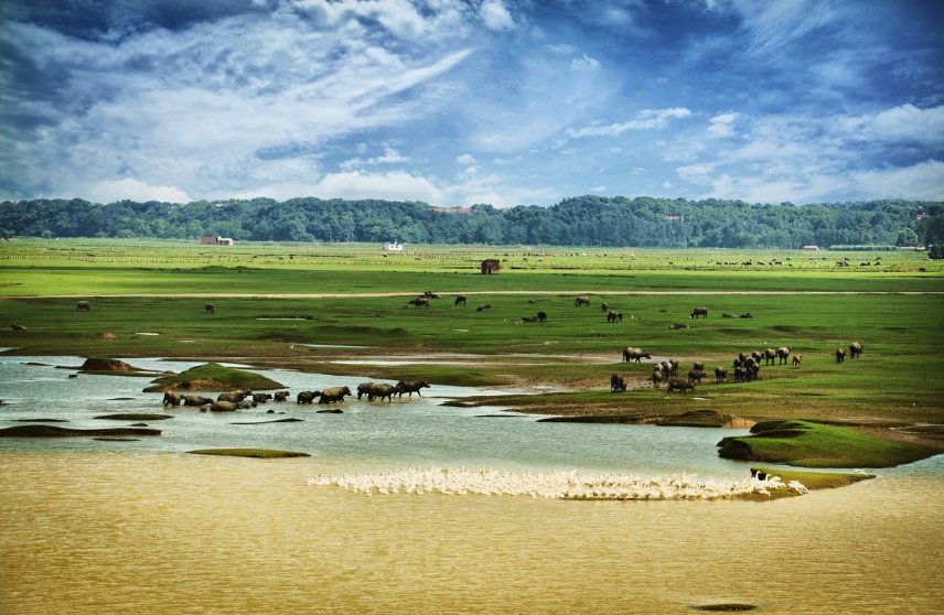 三点水加“日”字读什么？