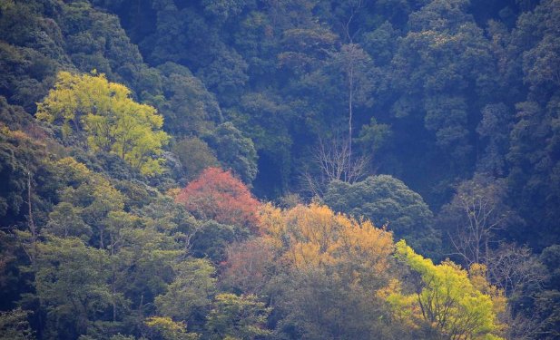 男子杀女友逃匿，藏深山长达16年，深山隐居没人管吗？