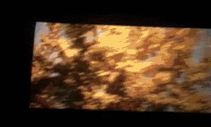 求“马震”动态图