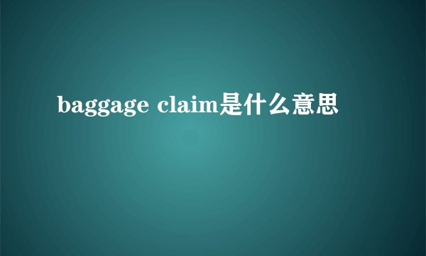 baggage claim是什么意思