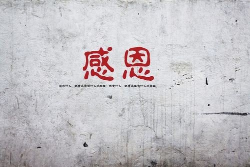 感恩母亲一句话简短