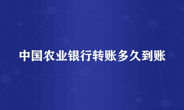 中国农业银行转账多久到账