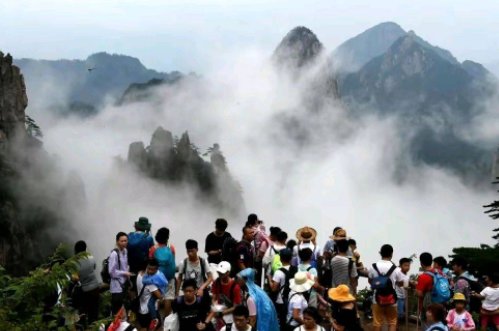 迎客松无客可迎，黄山旅游业遭重创，疫情下的旅游业如何复苏？