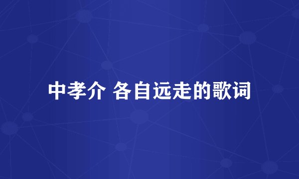 中孝介 各自远走的歌词