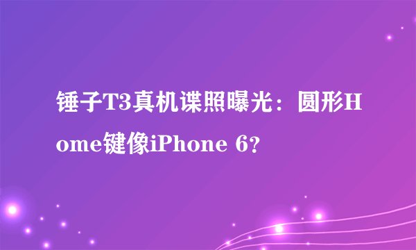 锤子T3真机谍照曝光：圆形Home键像iPhone 6？