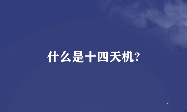 什么是十四天机?