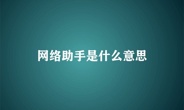 网络助手是什么意思