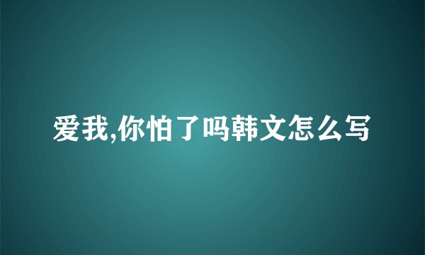 爱我,你怕了吗韩文怎么写