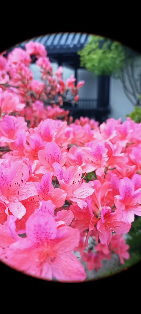 让男朋友瞬间燥热的话有哪些？