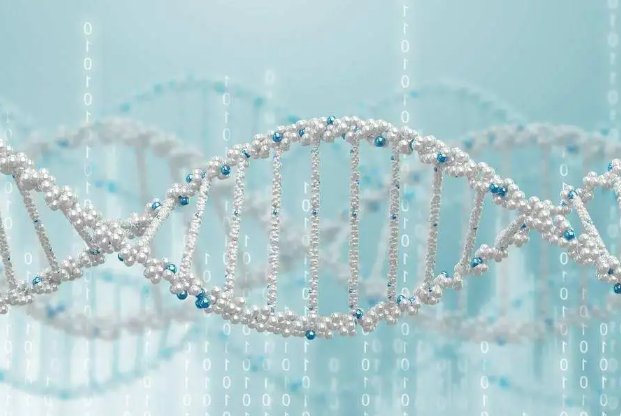 取代基是什么意思