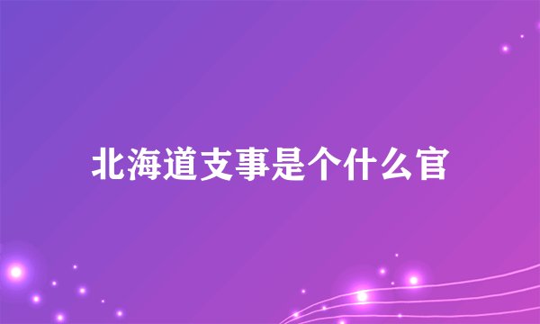 北海道支事是个什么官