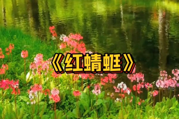 小虎队经典歌曲