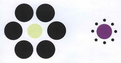 埃冰斯幻觉的解析