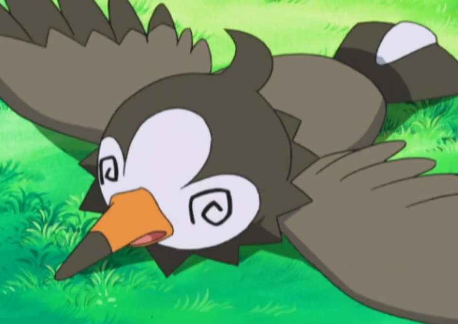 神奇宝贝小智第三季收服神奇宝贝的顺序