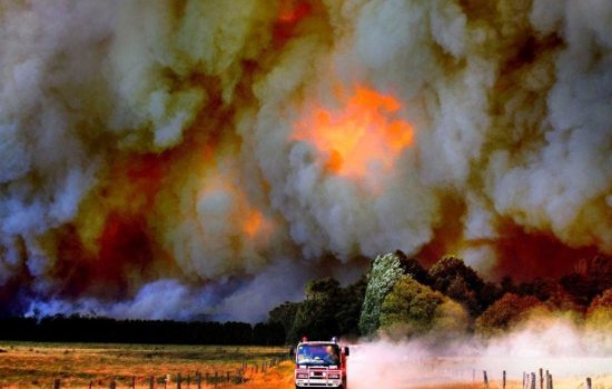 森林着火的事件有哪些？