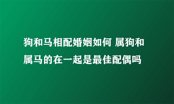 狗和马相配婚姻如何 属狗和属马的在一起是最佳配偶吗