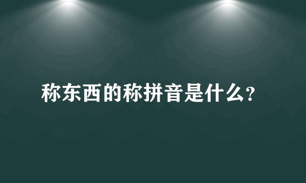 称东西的称拼音是什么？
