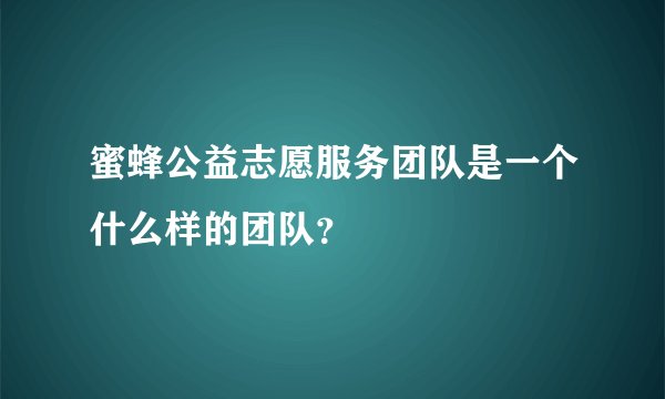 蜜蜂公益志愿服务团队是一个什么样的团队？