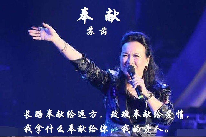 我拿什么奉献给你什么歌词