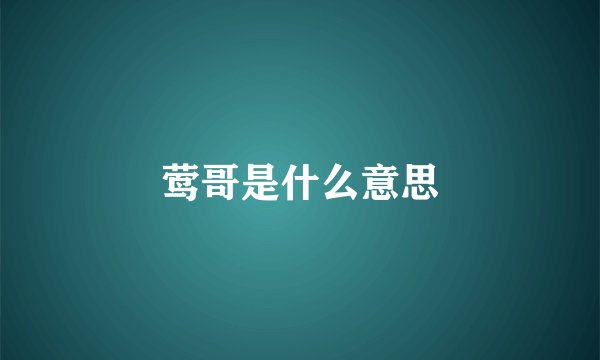 莺哥是什么意思