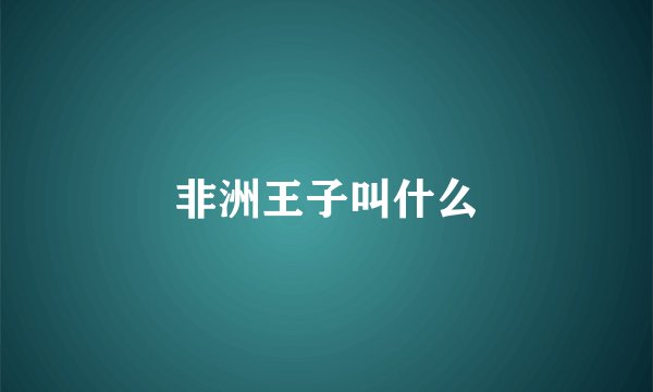 非洲王子叫什么
