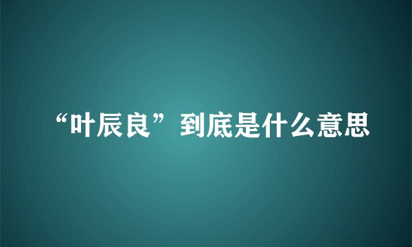 “叶辰良”到底是什么意思