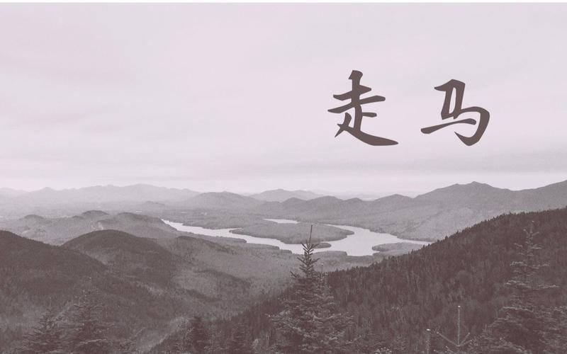 走马的歌词想表达什么意思？