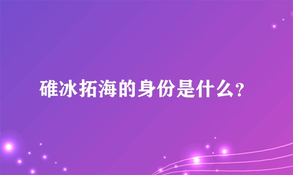 碓冰拓海的身份是什么？