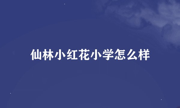 仙林小红花小学怎么样