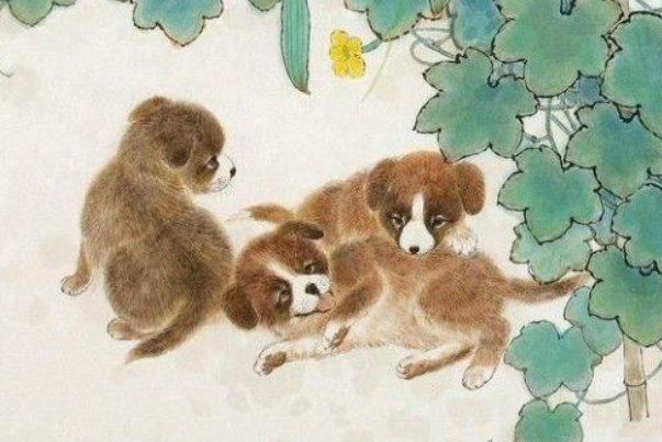 盛筵必散打一生肖动物