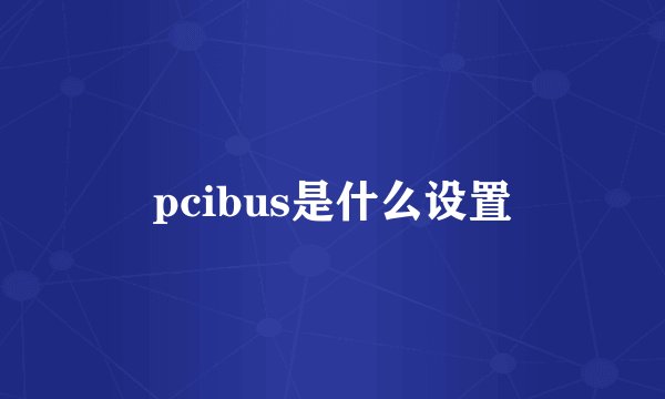 pcibus是什么设置