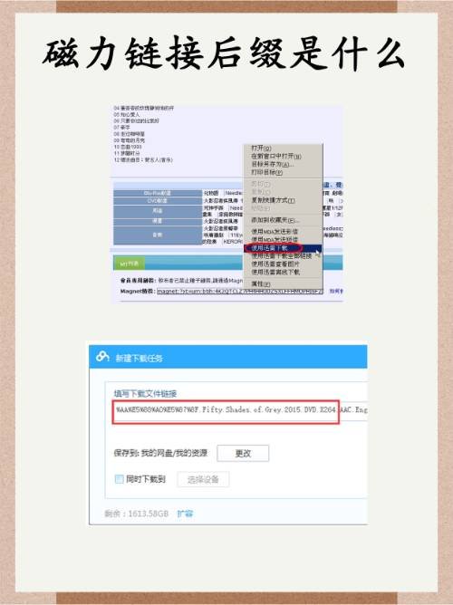迅雷磁力链接是什么？