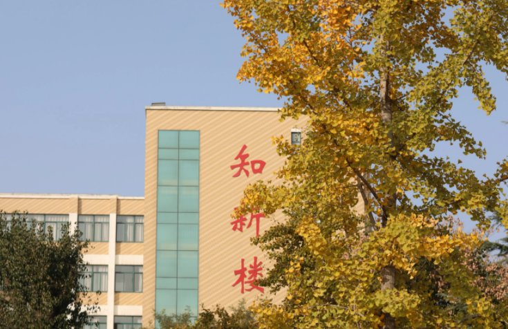 山东现代职业学院怎么样